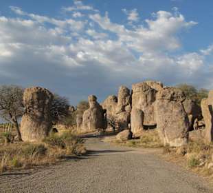 City of Rocks State Park in New Mexico