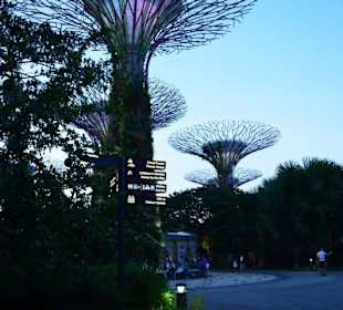 Gardens by the Bay