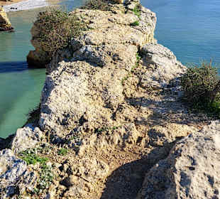 Seven Hanging Valleys Trail 