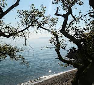 Küste / Strand von Opatija