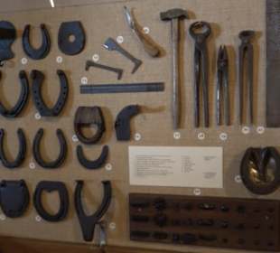 Gestütsmuseum Offenhausen