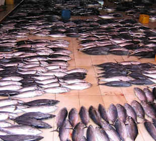 Der Fischmarkt von Male