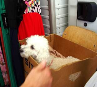 Den konnte man nicht kaufen