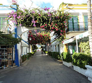 Blüten, Blüten, Blüten