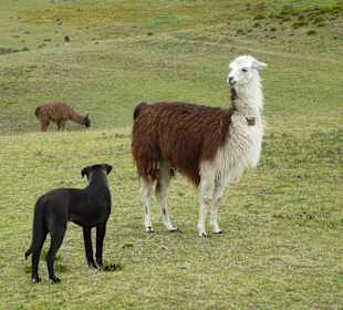 Die zwei haben sich vertragen