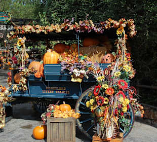 Halloween im Disneyland  Oktober 2011