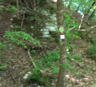 Premiumwanderweg "hochgelegen"