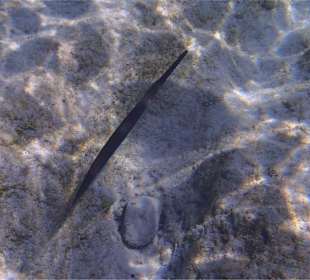 Unter Wasser im Süden