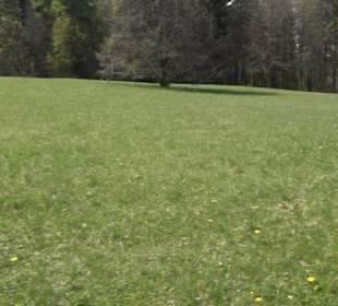 Premiumspazierwanderweg - Hochgehhütet