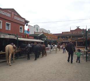 Pullman City