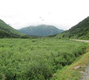 Mit der Train in der Natur Alaskas