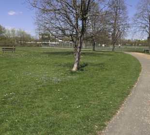 Sport- und Freizeitpark Markwasen