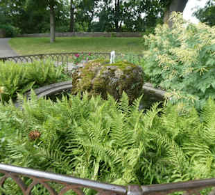 Spaziergang durch den Rothenburger Burggarten