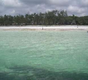 Ausflug Glasbodenboot Diani Beach