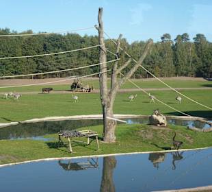 Serengeti Park