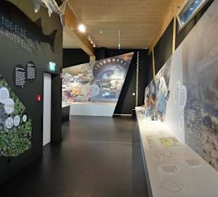 Blick in die Ausstellungsräume