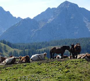 Wandern St. Martin bei Lofer