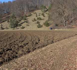Naturerlebnispfad Meidelstetten