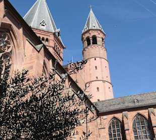 Im Kreuzgang vom Hohen Dom St. Martin zu Mainz