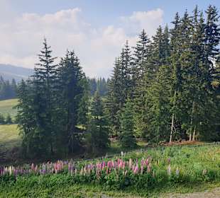 Wandern Luson / Lüsen