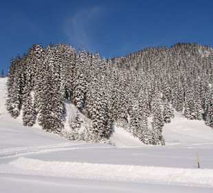 Skigebiet Hoch Ybrig
