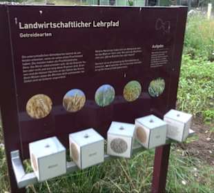 ALB-GOLD Naturgarten