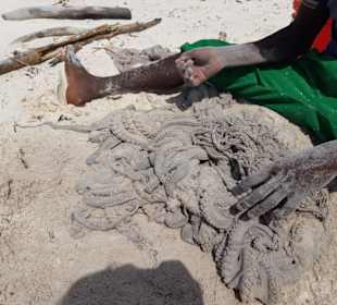 Tourguides  Nabil & Klaus Mohamed