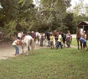Ausritt zum Wasserfall
