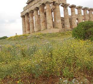 Selinunte