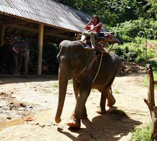 Bei uns kostet das einen Punkt und 80 Euro
