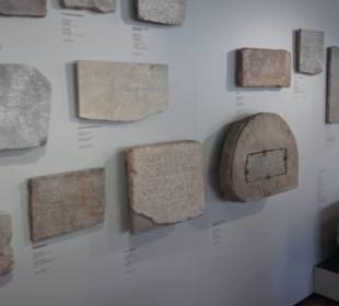 Rheinisches Landesmuseum