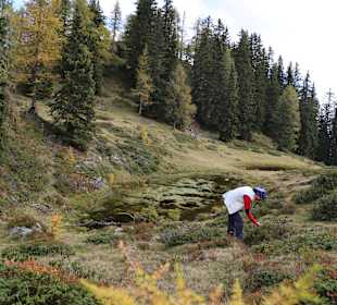 Auszeit auf der Schafalm
