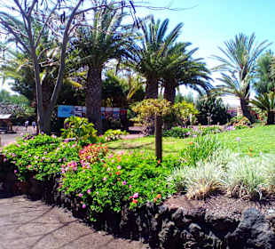 Oasis Park in La Lajita