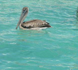 Isla Mujeres