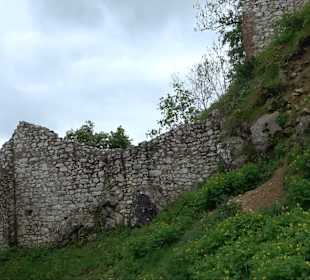 Ruine Burg Kaltenburg