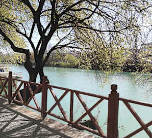 Fluss Manavgat
