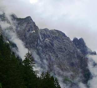 Der Plöckenpass 06-2011