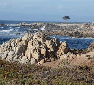 17 Mile Drive 