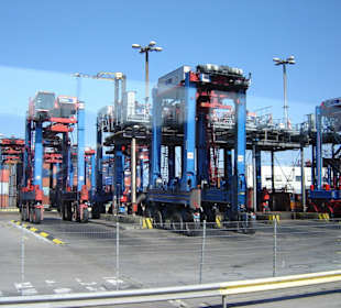 Hamburg - Auge in Auge mit den Giganten