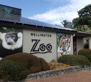 Zoo Wellington