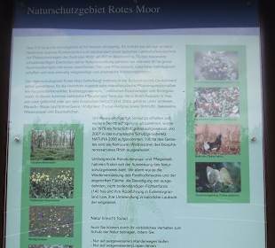 Flora und Fauna im Roten Moor