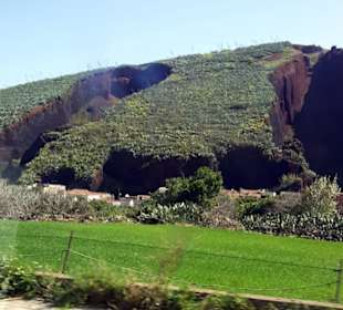 Vulkan Montaña del Palmar in Buenavista del Norte