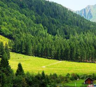 Grünsee dahinter Bergwiesen