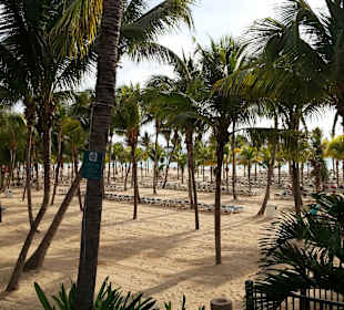 Beach vom Strandrestaurant