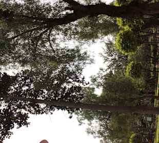 Schön angelegt und ordentlich gepflegt