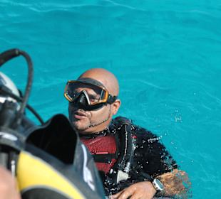 Da sind wir wieder !