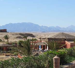 Ausflug nach Sharm el Naga