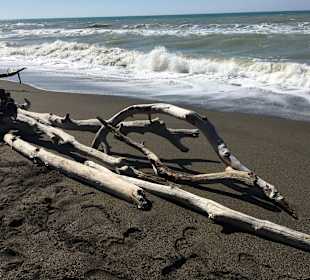 Strand Marina di Cecina