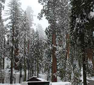 Größenverhältnisse