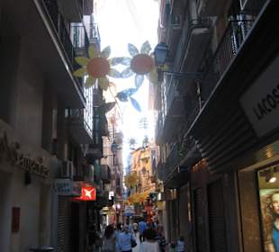 Palma